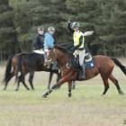 zdjęcie nr 28
