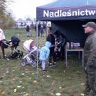 zdjęcie nr 11