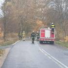 Fotka nr 5 z 21