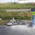 zdjęcie nr 12