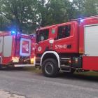 Fotka nr 5 z 6