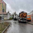 Fotka nr 3 z 11