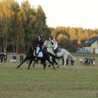 zdjęcie nr 32