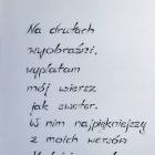 Fotka nr 5 z 15