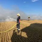 Fotka nr 1 z 5