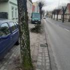 zdjęcie nr 8