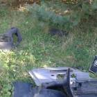 Fotka nr 2 z 5