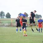 zdjęcie nr 12