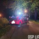 Fotka nr 2 z 4