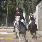 zdjęcie nr 12