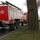 Fotka nr 1 z 16