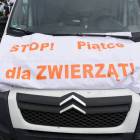 zdjęcie nr 17
