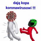 zdjęcie nr 11