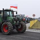 zdjęcie nr 25