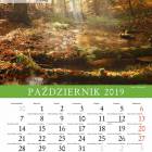 zdjęcie nr 10