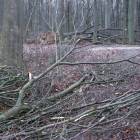 zdjęcie nr 32