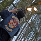 zdjęcie nr 58