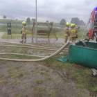 Fotka nr 2 z 11