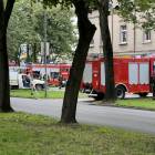 Fotka nr 2 z 14