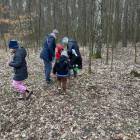 zdjęcie nr 13