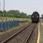 zdjęcie nr 30