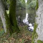 zdjęcie nr 29
