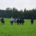 zdjęcie nr 29