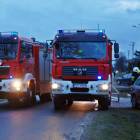 Fotka nr 3 z 12