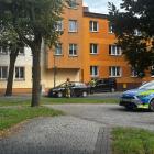 Fotka nr 1 z 3
