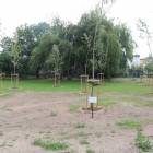 zdjęcie nr 10