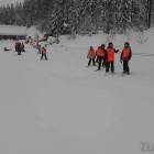 Fotka nr 2 z 13
