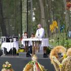 zdjęcie nr 24