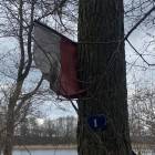 zdjęcie nr 29