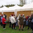 zdjęcie nr 15