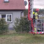 Fotka nr 4 z 19