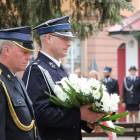zdjęcie nr 8