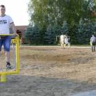 Fotka nr 4 z 12