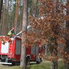 zdjęcie nr 90