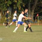 zdjęcie nr 22