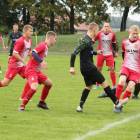 zdjęcie nr 12
