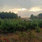 zdjęcie nr 7