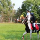 zdjęcie nr 9