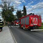 Fotka nr 1 z 4
