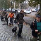 zdjęcie nr 17