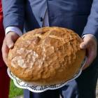 zdjęcie nr 15