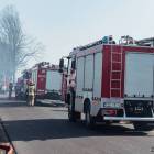 Fotka nr 4 z 16