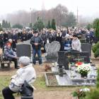 zdjęcie nr 12