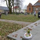 zdjęcie nr 9