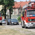 zdjęcie nr 50