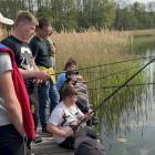 zdjęcie nr 15